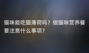 猫咪能吃猫薄荷吗？做猫咪营养餐要注意什么事项？