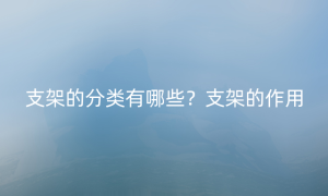 支架的分类有哪些？支架的作用