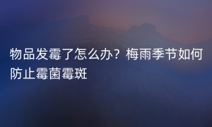 物品发霉了怎么办？梅雨季节如何防止霉菌霉斑