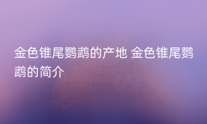 金色锥尾鹦鹉的产地 金色锥尾鹦鹉的简介