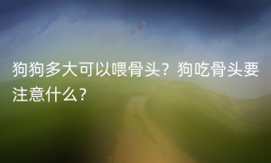 狗狗多大可以喂骨头？狗吃骨头要注意什么？