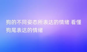 狗的不同姿态所表达的情绪 看懂狗尾表达的情绪