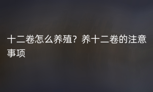 十二卷怎么养殖？养十二卷的注意事项