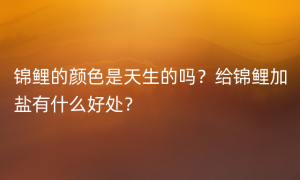 锦鲤的颜色是天生的吗？给锦鲤加盐有什么好处？