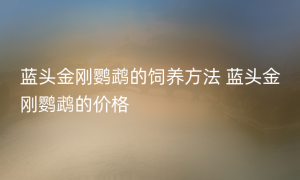 蓝头金刚鹦鹉的饲养方法 蓝头金刚鹦鹉的价格