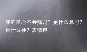 你的良心不会痛吗？是什么意思？是什么梗？表情包