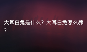 大耳白兔是什么？大耳白兔怎么养？