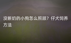 没断奶的小狗怎么照顾？仔犬饲养方法