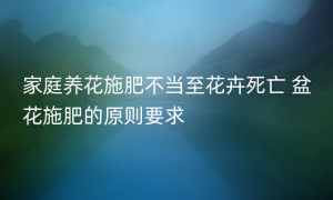 家庭养花施肥不当至花卉死亡 盆花施肥的原则要求