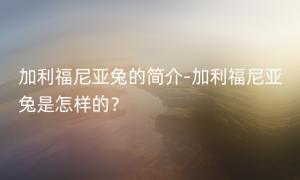 加利福尼亚兔的简介-加利福尼亚兔是怎样的？