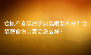 仓鼠不喜欢浴沙要逃跑怎么办？仓鼠藏食物夹囊会怎么样？