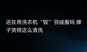 还在用洗衣机“毁”羽绒服吗 牌子货得这么清洗