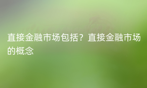 直接金融市场包括？直接金融市场的概念