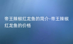 帝王辣椒红龙鱼的简介-帝王辣椒红龙鱼的价格